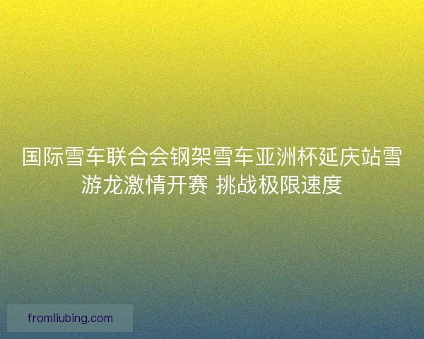 国际雪车联合会钢架雪车亚洲杯延庆站雪游龙激情开赛 挑战极限速度
