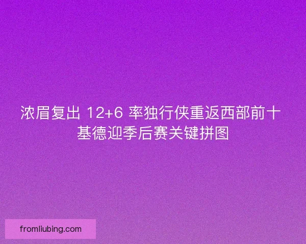 浓眉复出 12+6 率独行侠重返西部前十 基德迎季后赛关键拼图